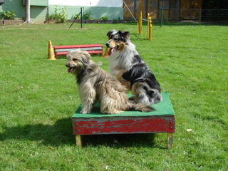 Balto et son pote voyou