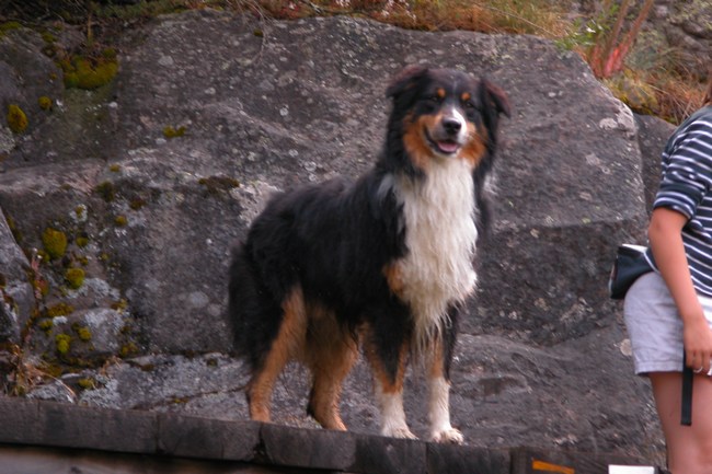 Baltick toujours la meme bouille!