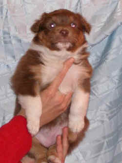 4weeks