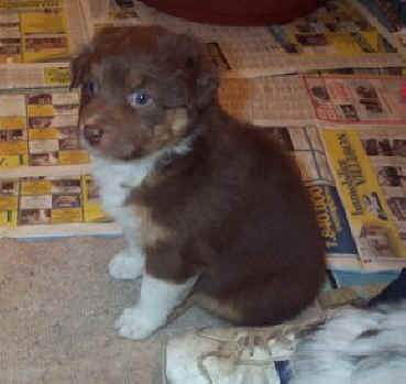 5weeks