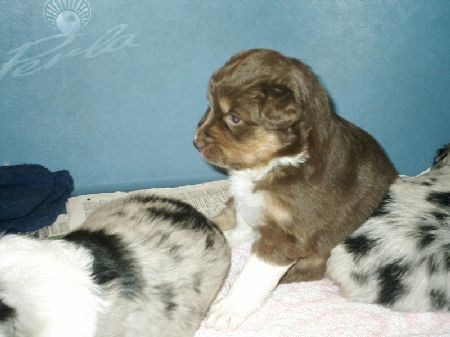 4weeks