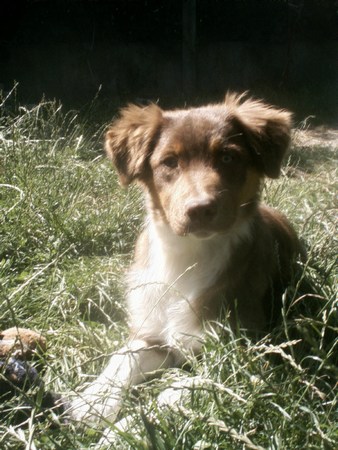 VIXEN:))))))))))))))))