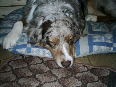 sometimes he sleeps....